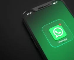 Conta verificada no WhatsApp: como conseguir o selo?