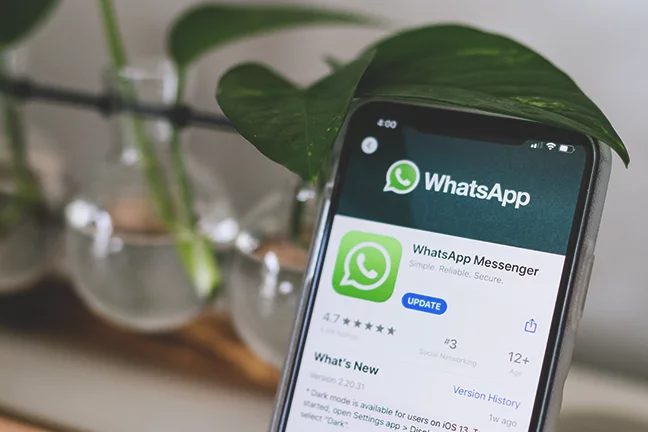 WhatsApp para e-commerce